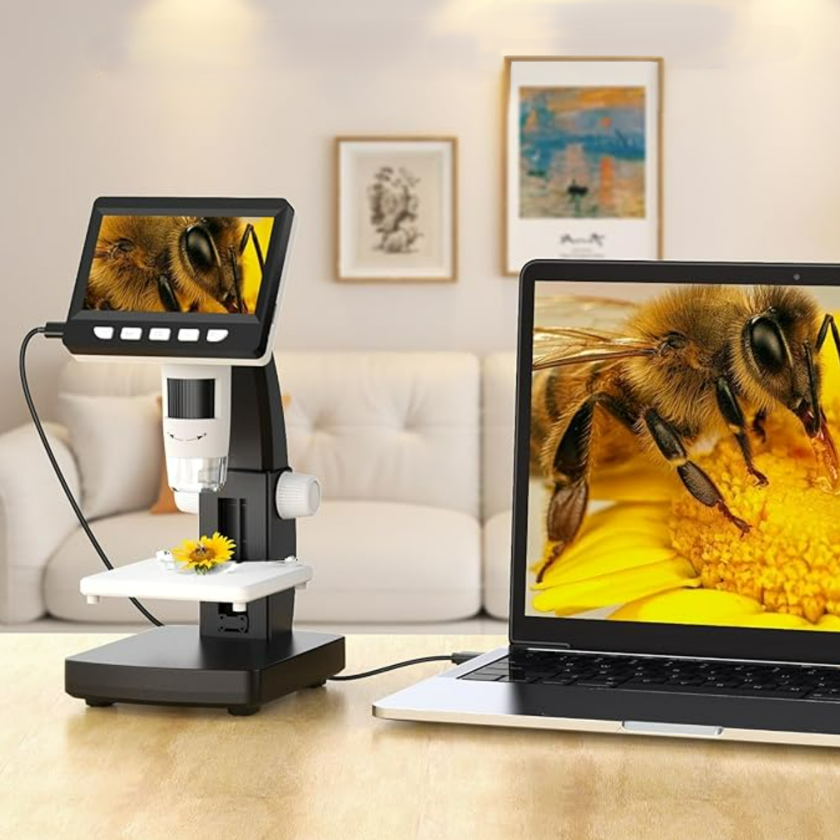 b1097ffb2f549d09b6b2ebe2f2d32a16 b1097ffb2f549d09b6b2ebe2f2d32a16